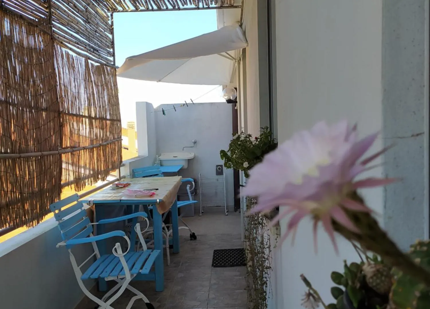 Apartmán Openspace Càbras